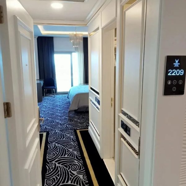 WhatsApp Image 2024-11-15 at 00.22.46