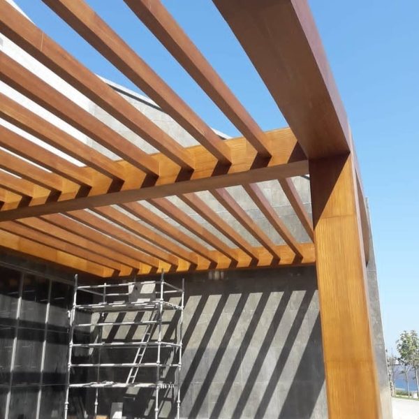 WhatsApp Image 2024-11-15 at 00.25.26 (1)