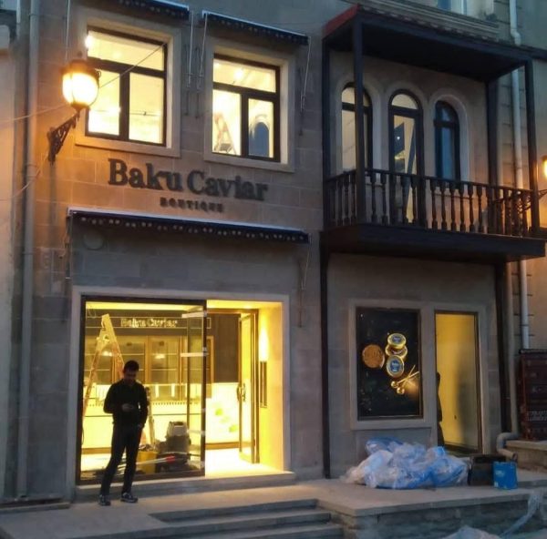 WhatsApp Image 2024-11-15 at 00.26.48