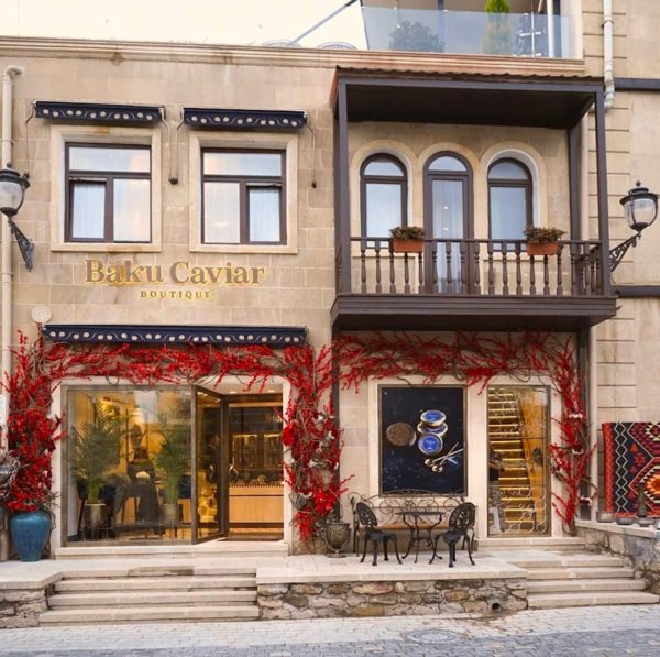 WhatsApp Image 2024-11-15 at 00.31.43 (2)