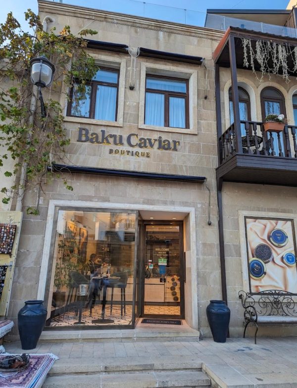 WhatsApp Image 2024-11-15 at 00.31.43